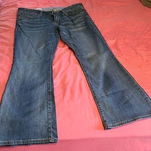 GAP Womens petite sexy boot cut jean